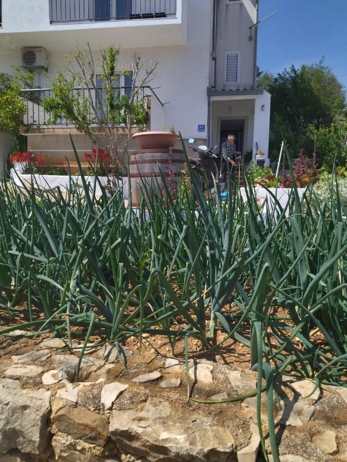 Apartment Marija מרינה מראה חיצוני תמונה